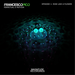 Premiere: Francesco Pico - Rise Like A Flower [Magnitude Recordings]