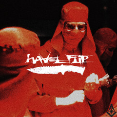 HAVEL FLIP