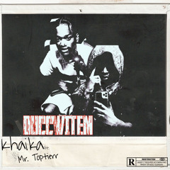 x Mr. Toptierr-duccwitem