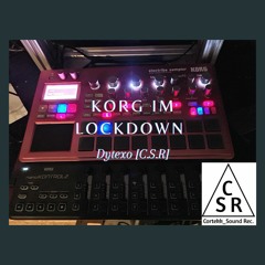 Korg im LOCKDOWN (Dytexo)