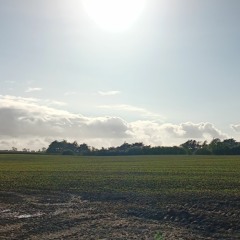 Life Force (Chillout Mix)