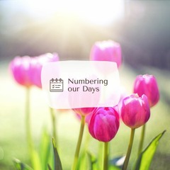 Numbering our Days (Cover)