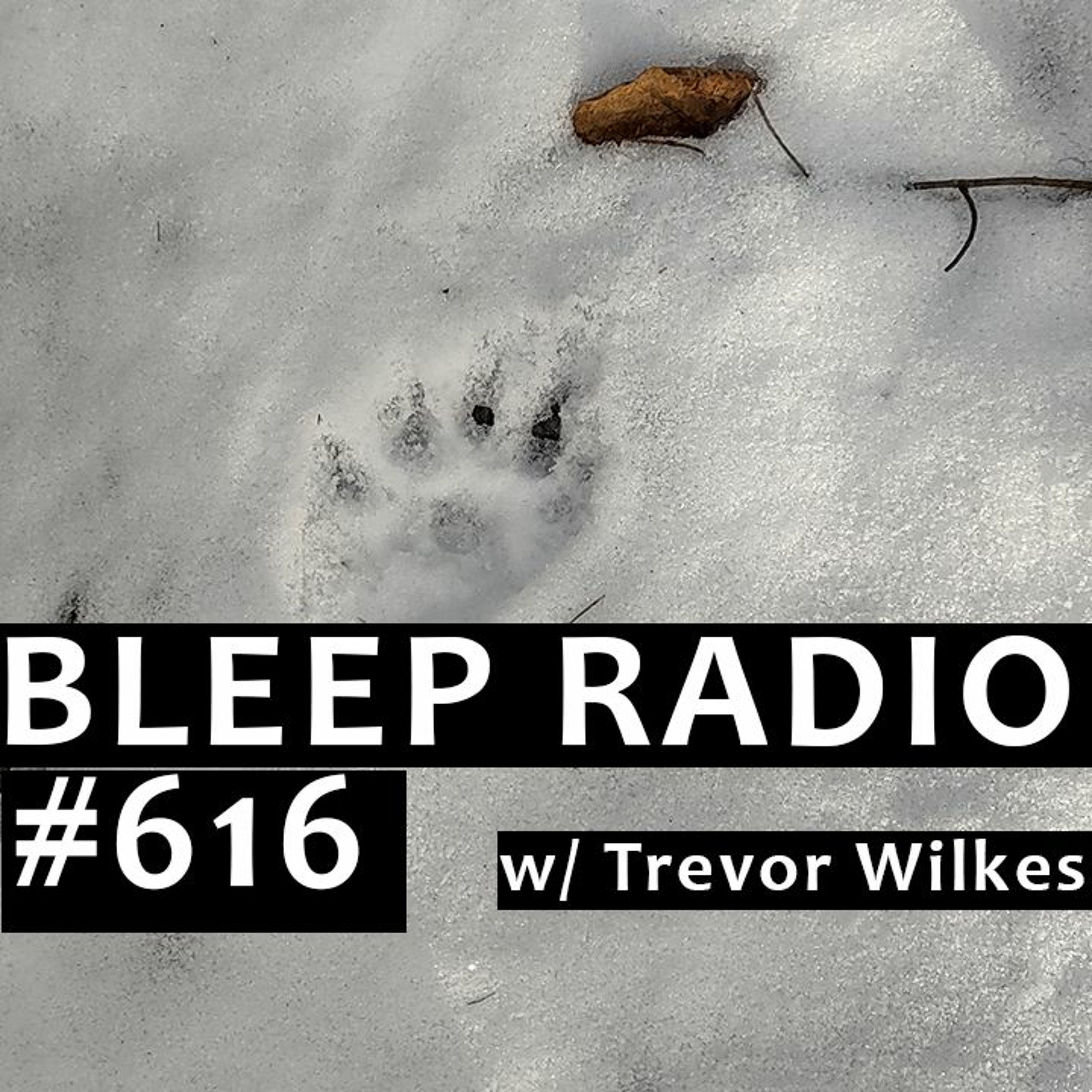 Bleep Radio w/ Trevor Wilkes