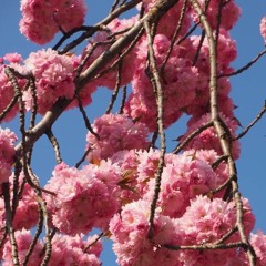 vent (prod. RRAREBEAR)