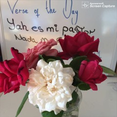 Never Let Up - By Yoyl Ben Ysrayl
