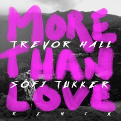 more than love (SOFI TUKKER remix)