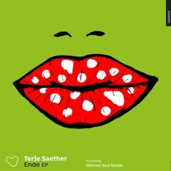 Terje Saether - Ende - SILICONE SOUL remix