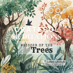 Whisper of the Trees - Grateful Meditations 006