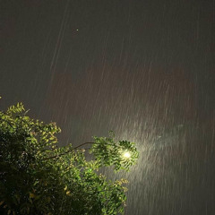 بحكي عليكي 🤎