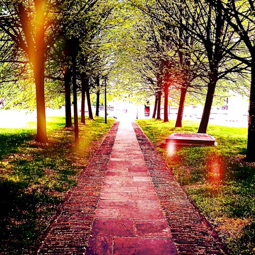 The narrow path (available on Bandcamp)