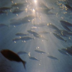 Deep Blue
