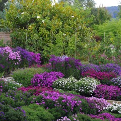 David Guetta - Club can't handle me  Beautiful Piano