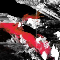 CF Premiere: Gotshell - Tratamientos Acidos [Thoughts.]
