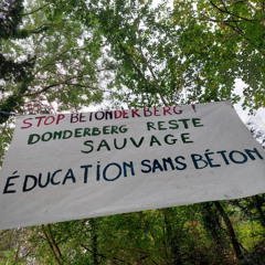 L'écolo contre l'école