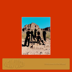 The Colour of the Sound