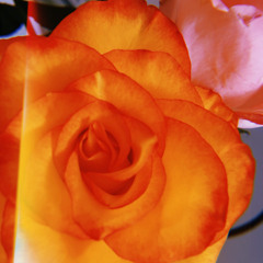 comingbackdowntorealitydemo.wav