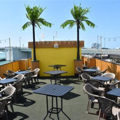Review Special Price Calypso Breeze Tropical Party Cruise