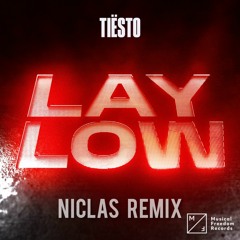 Tiesto - Lay Low (Niclas Remix)