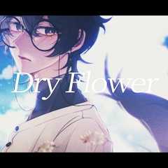 優里 - ドライフラワー(Dry Flower)