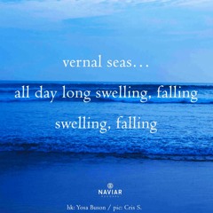 vernal seas...swelling, falling [naviarhaiku525]