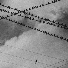 Solitude_Trap_Dark_Instrumental_Beat_2025_(DERY ONEBEATS)