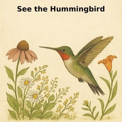 When I See the Hummingbird