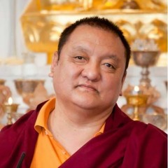 Kunzig Shamar Rinpoche. Introduction to the 35 Buddhas Practice