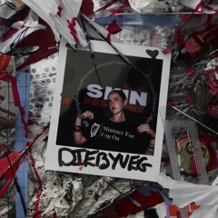 DIEBYVEG | SKIN SESSIONS