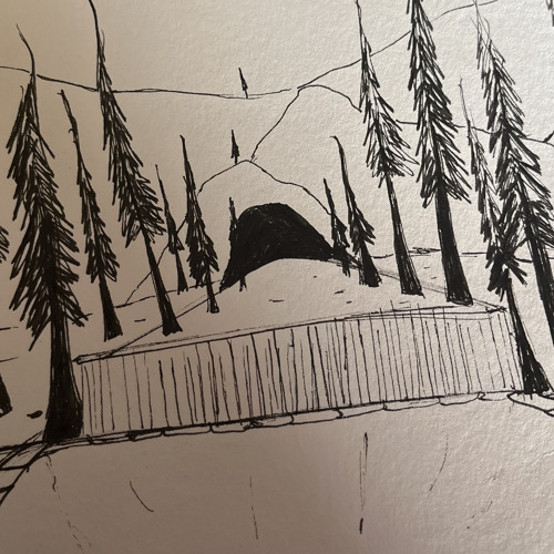The Dreamer