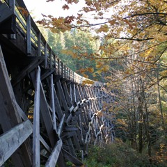 Cover of - Hallucinagenics by Matt Maeson