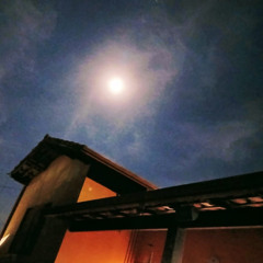 Homem das Cavernas - Chico Canela - Paulo O.Q. da Costa