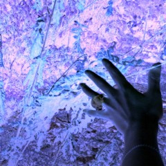 コーヒーと血液