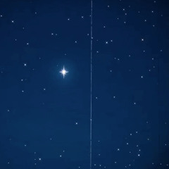 up and down judy signh