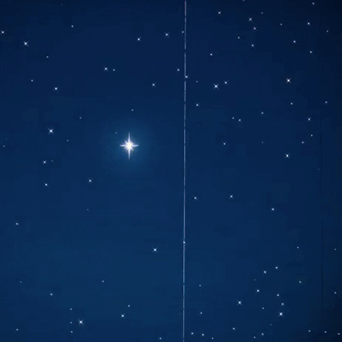 up and down judy signh