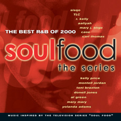 Thong Song (Remix) [feat. Foxy Brown]