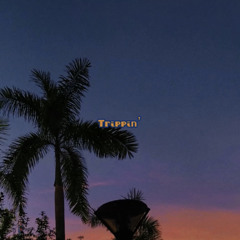 Trippin - XALER