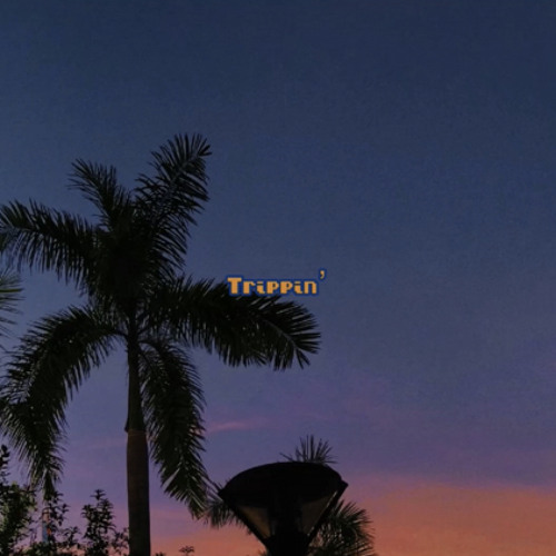 Trippin - XALER