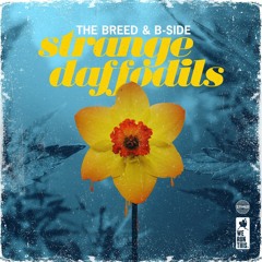 strange daffodils w/ the breed