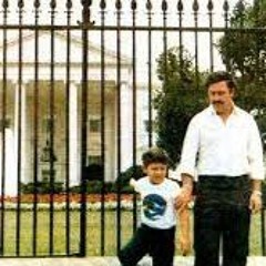 The White House