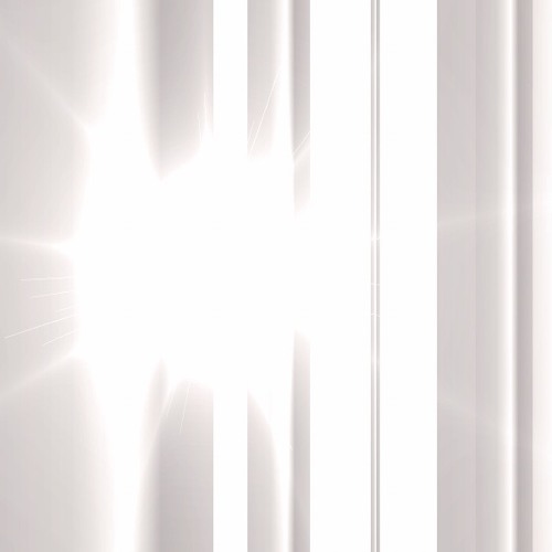 Mirror The Light