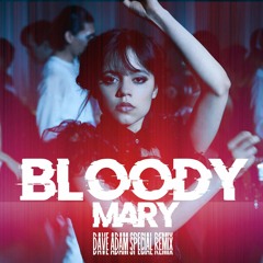 Lady Gaga - Bloody Mary (Dave Adam Special Remix)