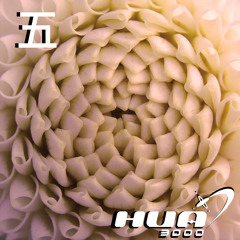Huacast 005 - Marvin Richter