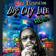 Rise & General Levy - Big City Life - Remix
