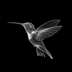 colibri. (Demo)