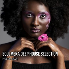 Soulmeka Deep House Selection
