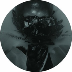 Various - Apophenia (BAREC-012, Vinyl Only)