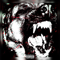 OFF THE LEASH
