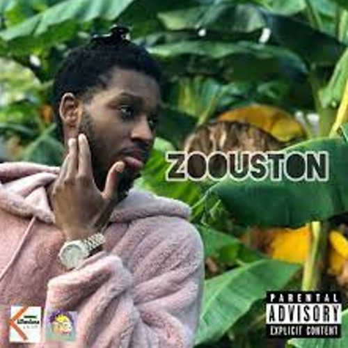 Zoouston