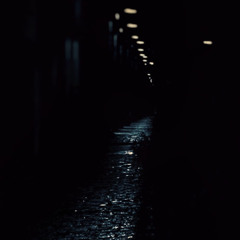 Silence of the Night