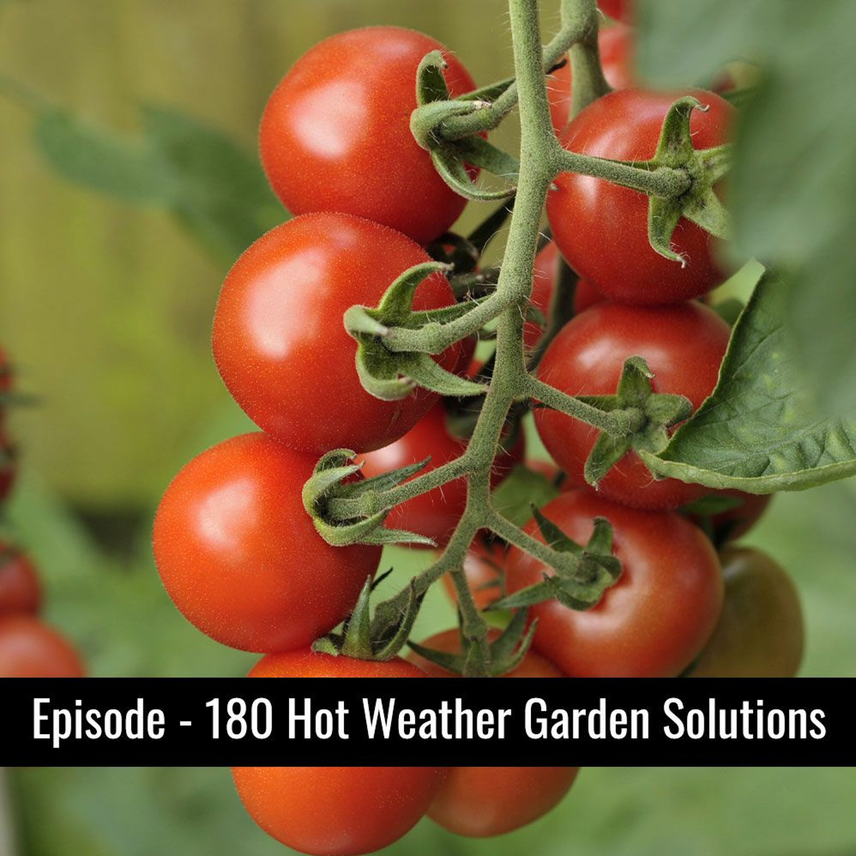 180 Hot Weather Garden Solutions